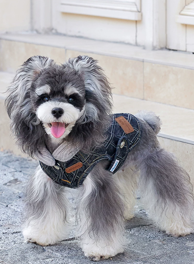 Stylish Denim Vest for Schnauzer Bichon Dogs