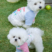 Spring Summer Fashion Pet T-Shirt for Cats & Dogs