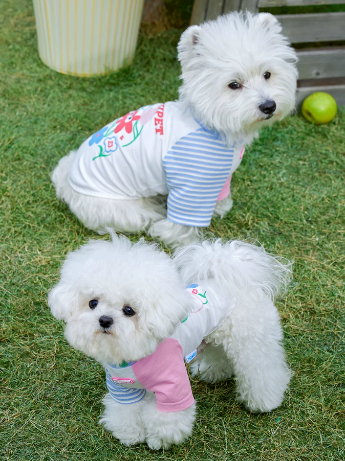 Spring Summer Fashion Pet T-Shirt for Cats & Dogs