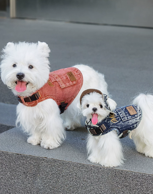 Harness Denim Summer Pet Shirt Vest