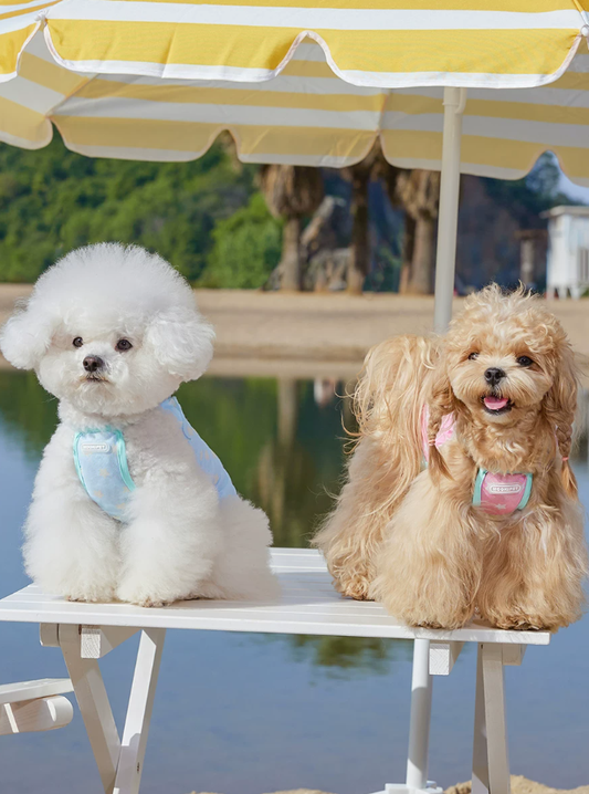 Breathable Strap Top for Small Dogs Summer Wear