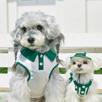 Summer Skirt Vest Outfit for Bichon Schnauzer Teddy Dogs