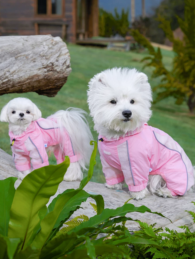 Four-Leg Outdoor Sun Protection Pet Suit