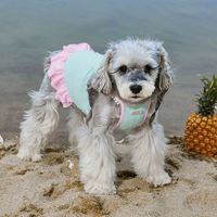 Aqua Chill Pool Swim Vest for Dogs