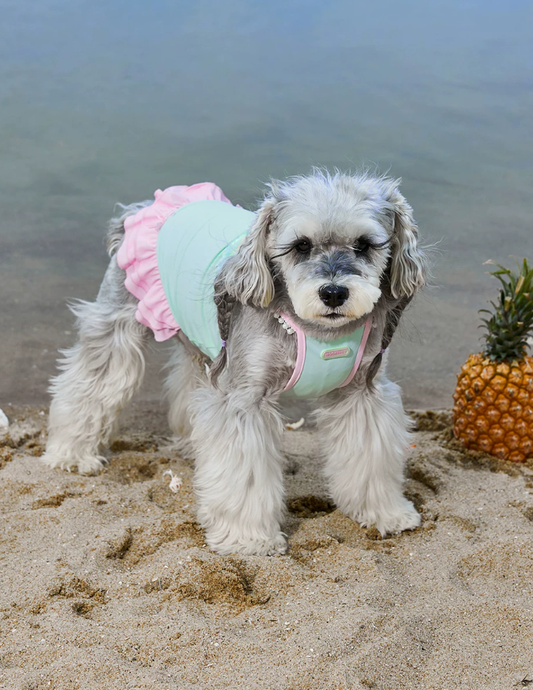 Aqua Chill Pool Swim Vest for Dogs