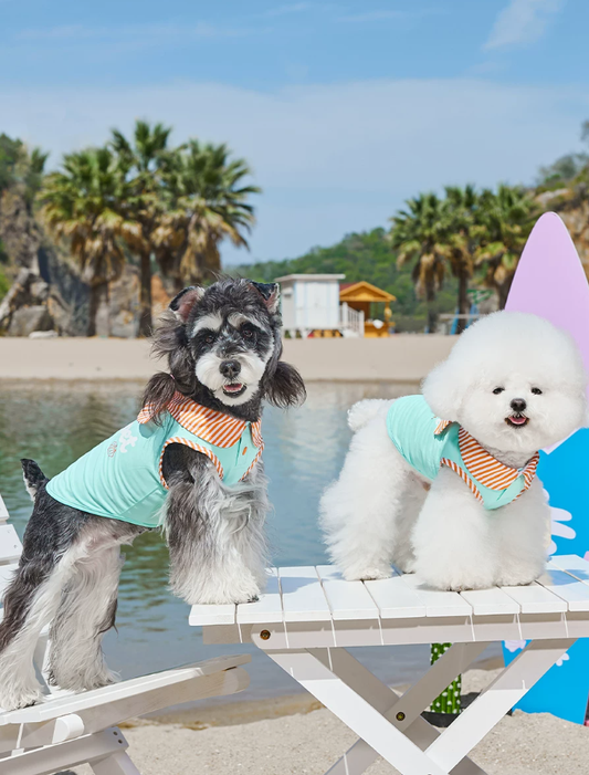 Cooling Sun Protection Thin Summer Pet Vest