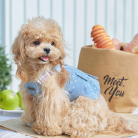 Denim Style Leash Vest for Small Dogs