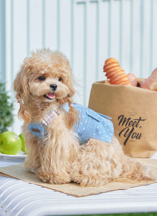 Denim Style Leash Vest for Small Dogs