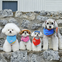 Leash Clip Adjustable Pet Vest for Small Dogs