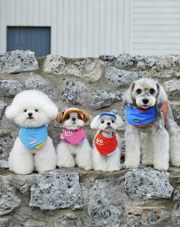 Leash Clip Adjustable Pet Vest for Small Dogs