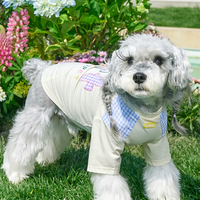 Spring Summer Lightweight Cooling Pet T-Shirt