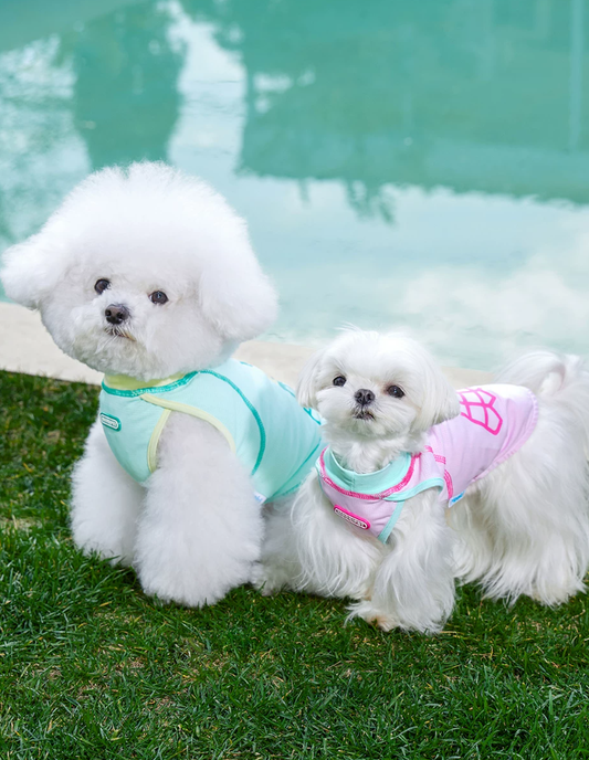 Soft Cooling Vest for Bichon Frise Dogs