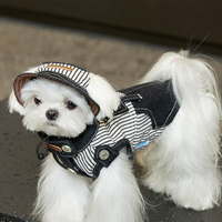 Cool Summer Denim Vest for Small Dogs