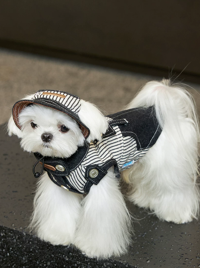 Cool Summer Denim Vest for Small Dogs