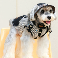 Cool Summer Denim Vest for Small Dogs