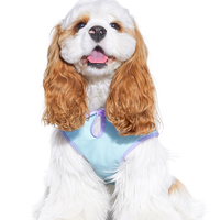 Cooling Light Vest for Cats & Dogs Outdoor Wear