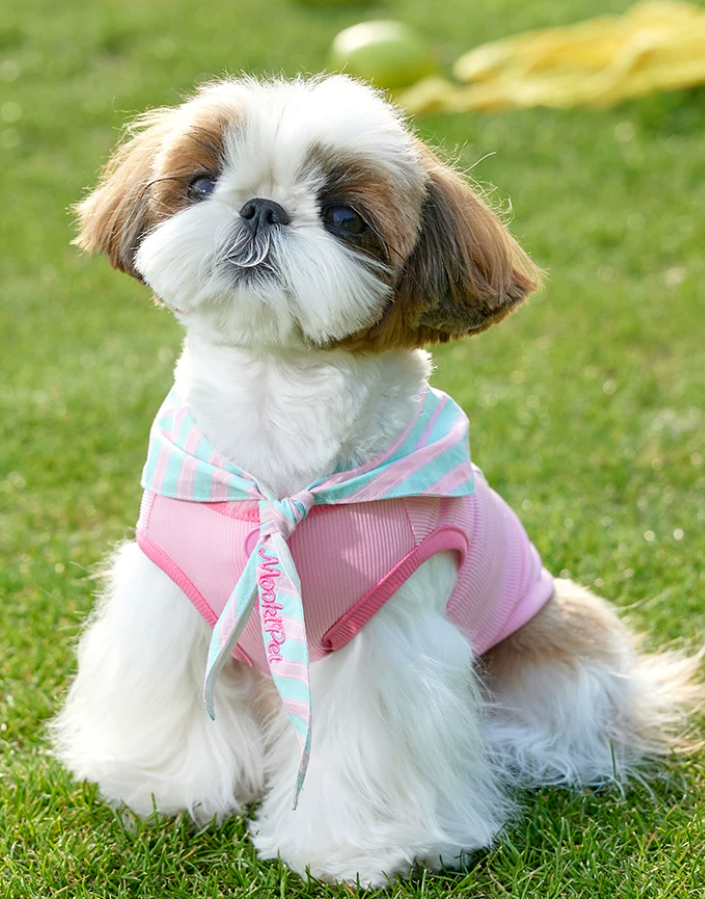 2026 Cape Style Summer Pet Vest for Small Dogs