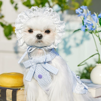 Summer Skirt Pet Dress for Yorkie Bichon Maltese Dogs