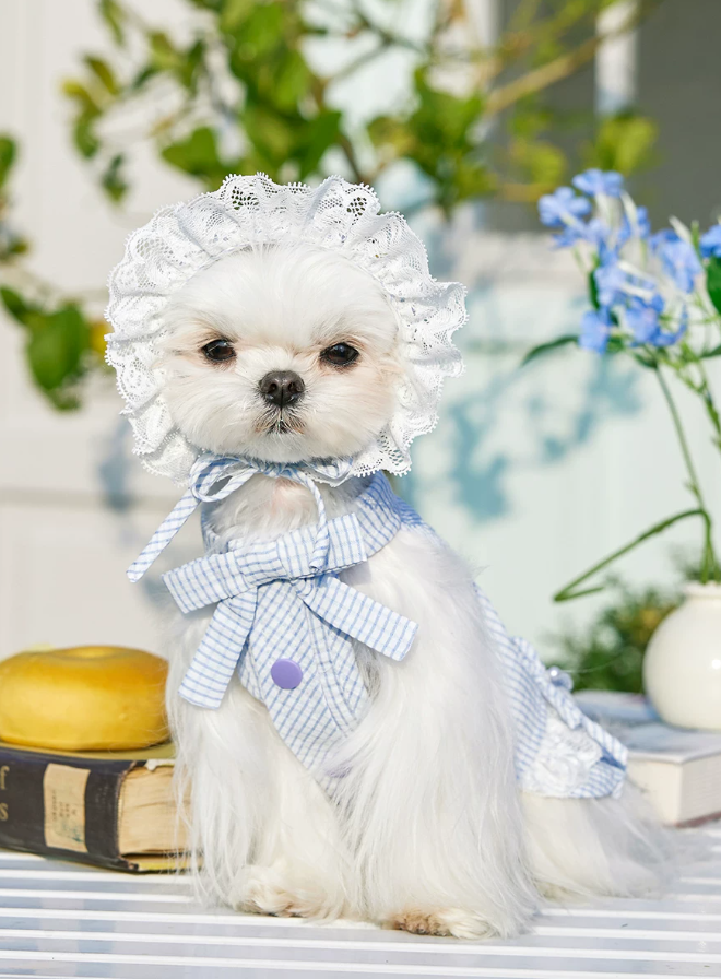 Summer Skirt Pet Dress for Yorkie Bichon Maltese Dogs