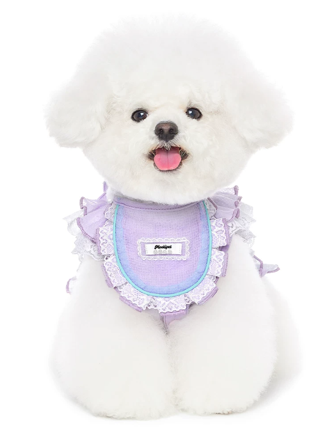 Lace Doll Style Summer Pet Blouse