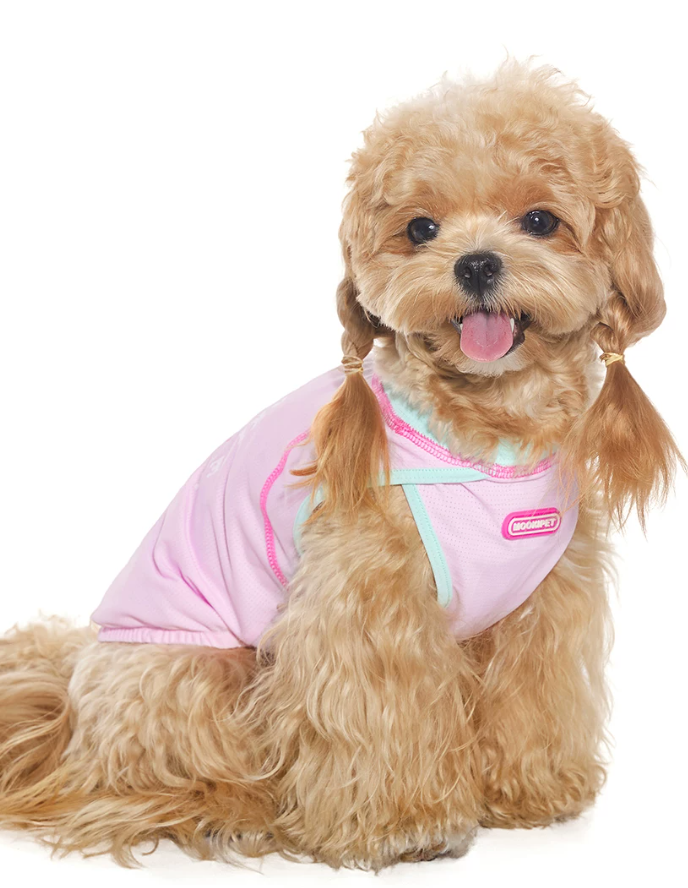 Soft Cooling Vest for Bichon Frise Dogs