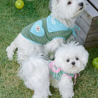 Striped Shawl Style Summer Pet Vest