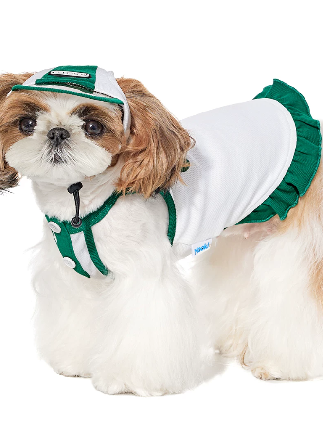 Summer Skirt Vest Outfit for Bichon Schnauzer Teddy Dogs