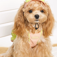 Beach Holiday Strap Cami Pet Outfit