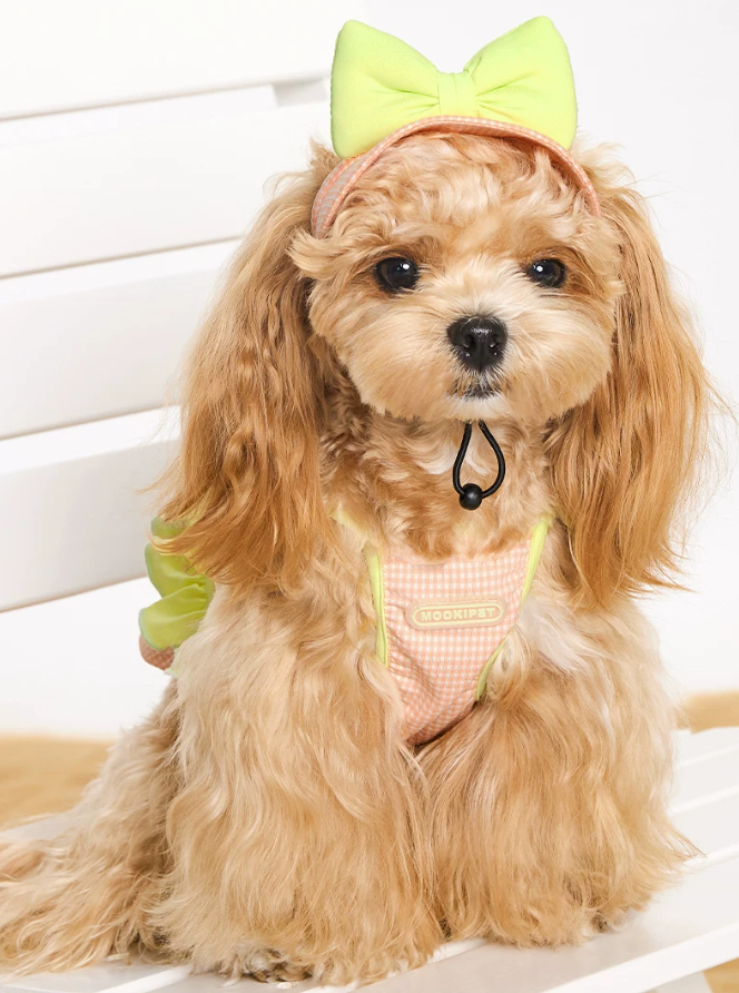 Beach Holiday Strap Cami Pet Outfit