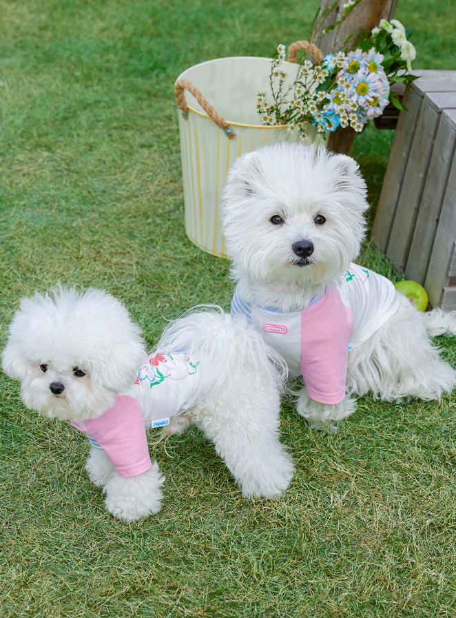 Spring Summer Fashion Pet T-Shirt for Cats & Dogs