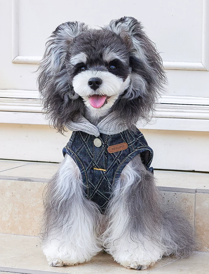 Stylish Denim Vest for Schnauzer Bichon Dogs