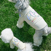 Spring Summer Lightweight Cooling Pet T-Shirt