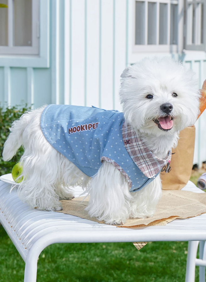 Denim Style Leash Vest for Small Dogs