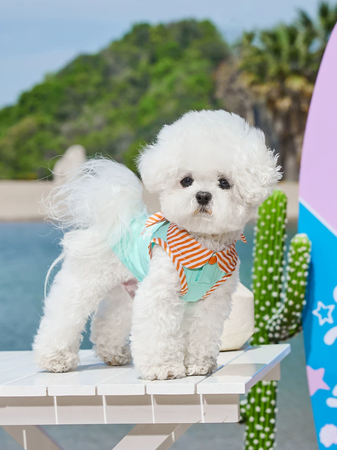 Cooling Sun Protection Thin Summer Pet Vest