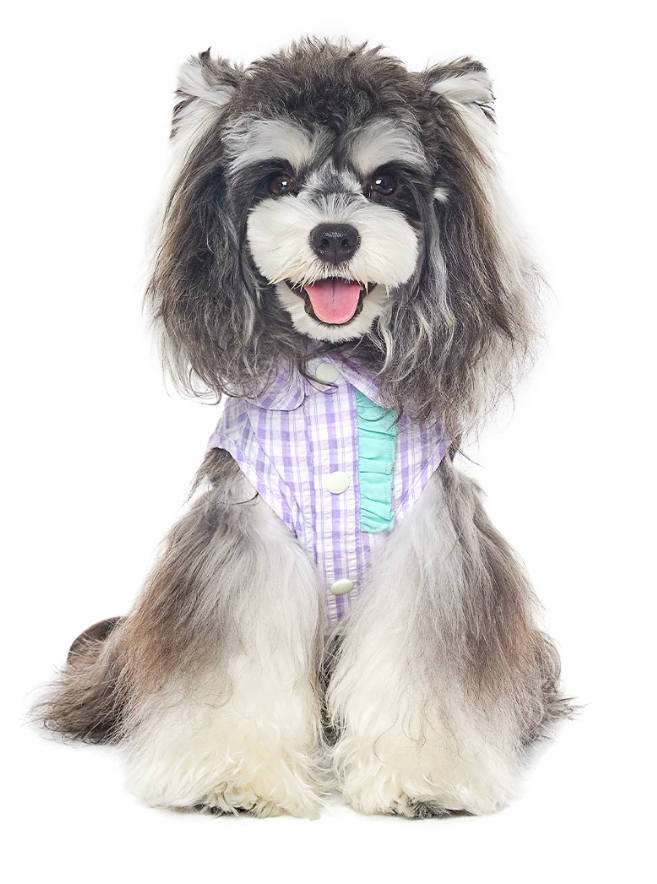 Linen Breeze Summer Pet Shirt Vest for Small Dogs