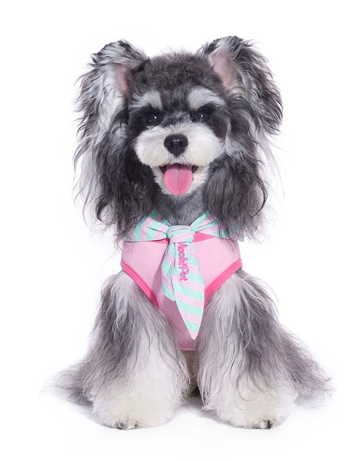 2026 Cape Style Summer Pet Vest for Small Dogs