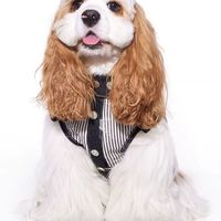 Cool Summer Denim Vest for Small Dogs