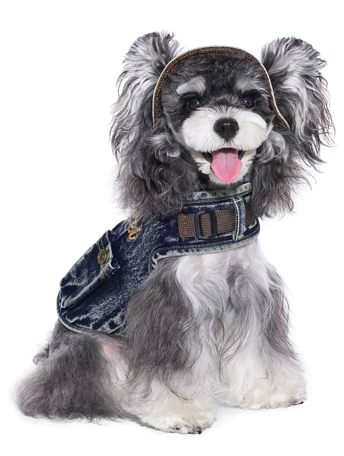 Harness Denim Summer Pet Shirt Vest