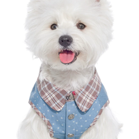 Denim Style Leash Vest for Small Dogs