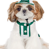 Summer Skirt Vest Outfit for Bichon Schnauzer Teddy Dogs
