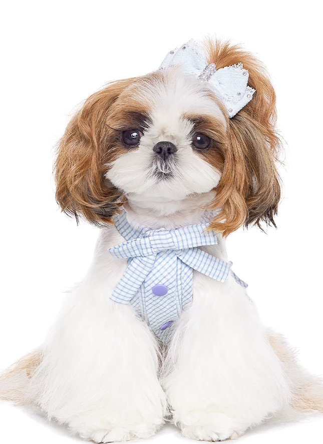 Summer Skirt Pet Dress for Yorkie Bichon Maltese Dogs