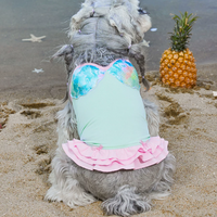 Aqua Chill Pool Swim Vest for Dogs