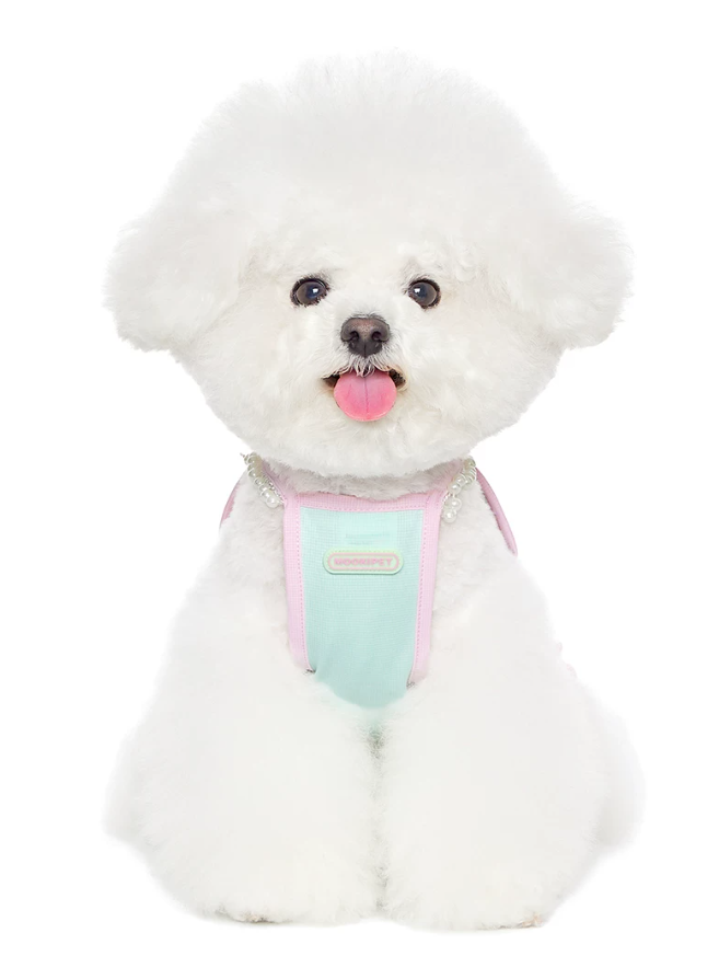 Aqua Chill Pool Swim Vest for Dogs