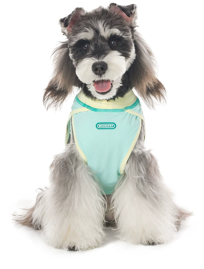 Soft Cooling Vest for Bichon Frise Dogs