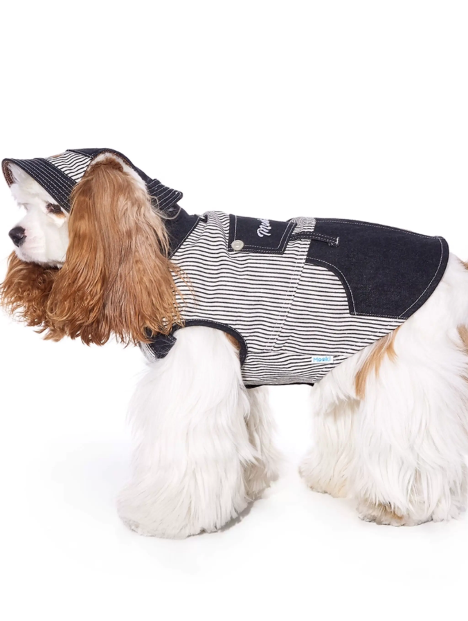 Cool Summer Denim Vest for Small Dogs