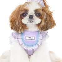Lace Doll Style Summer Pet Blouse