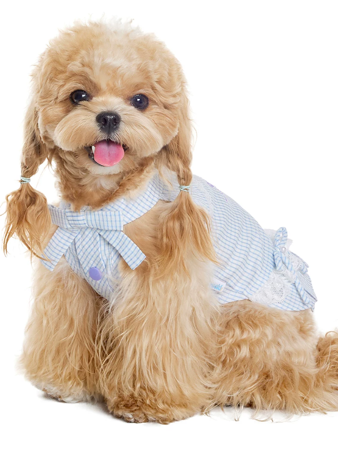 Summer Skirt Pet Dress for Yorkie Bichon Maltese Dogs