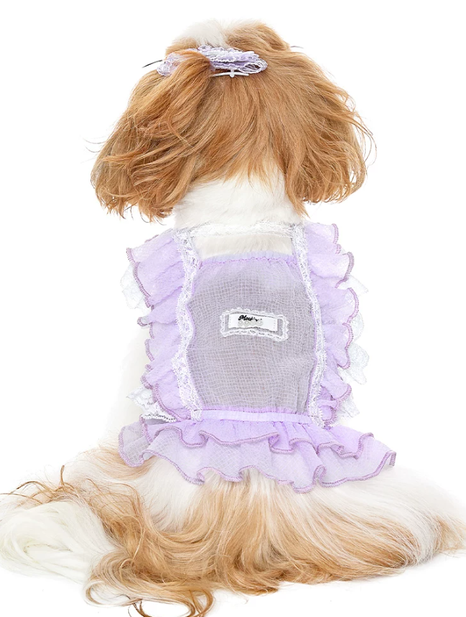 Lace Doll Style Summer Pet Blouse