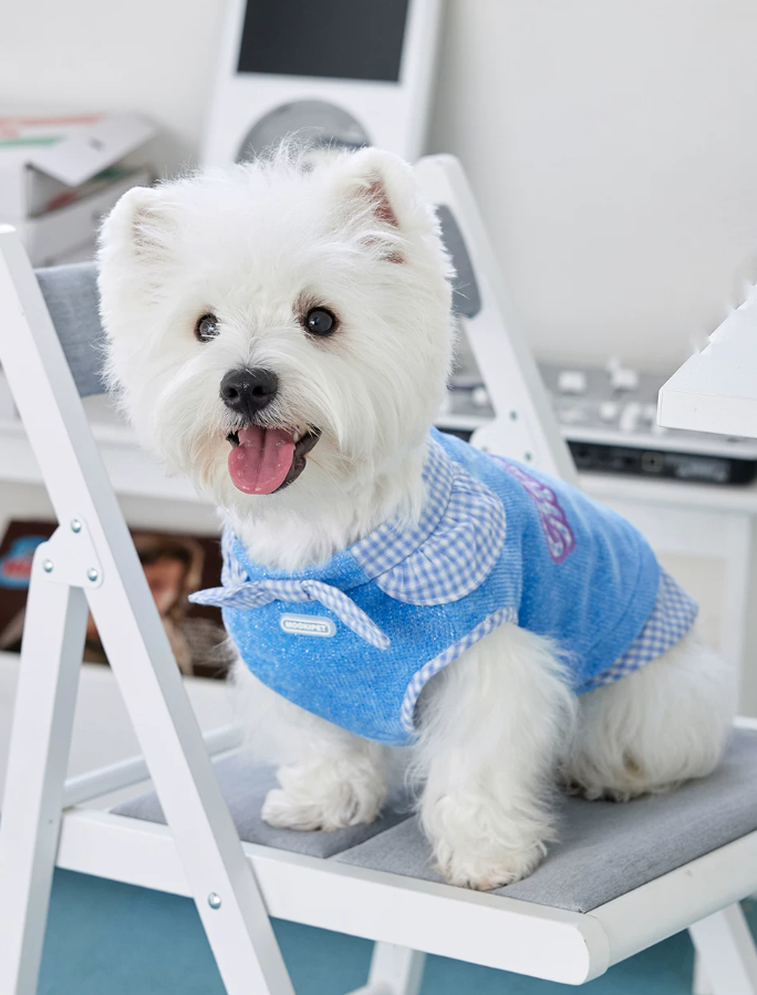 Spring Summer Casual Pet Vest for Bichon Yorkie Dogs