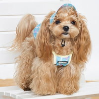 Cool Touch Summer Strap Pet Apparel
